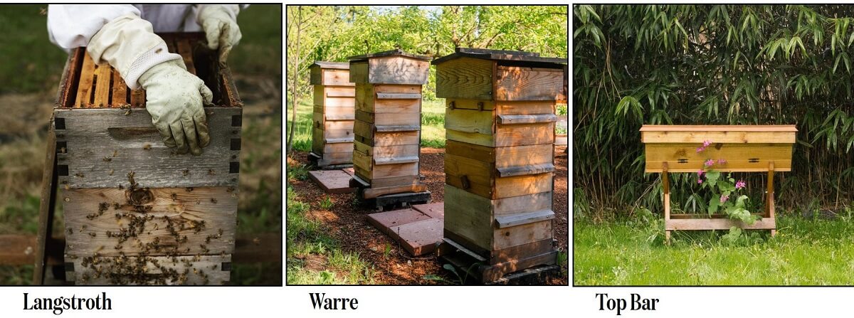 beekeeping supplies